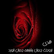 عبارات جميلة عن اسم هدى