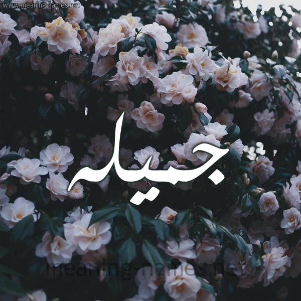 شعر في جميلة