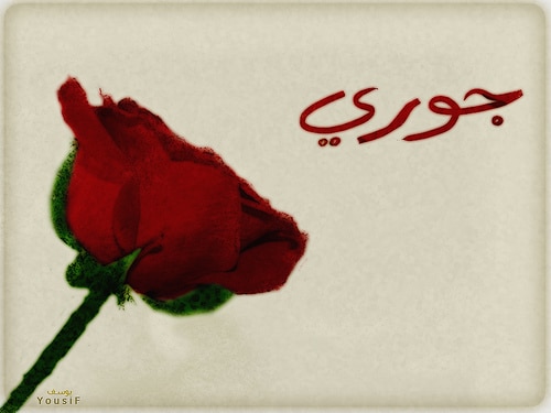 شعر عن الجوري