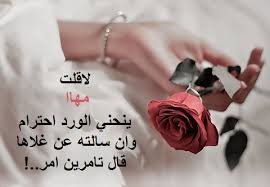 عبارات عن مها3
