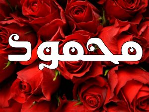 رسائل حب باسم محمود