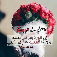 بوستات عن اسم مروة1