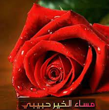 بوستات مساء الخير للحبيب3