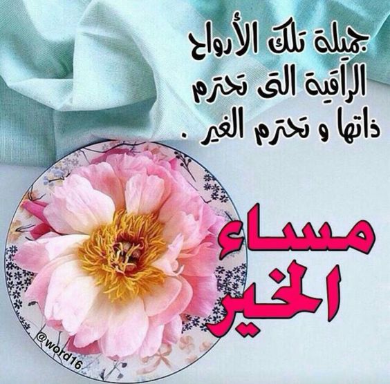 بوستات مساء الخير للحبيب4