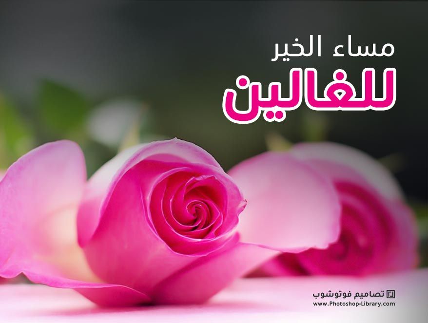 مساء الخير بالصور4