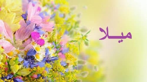 قصيده باسم ميلا