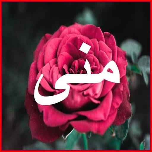 ورد باسم منى3
