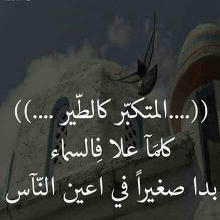 كلام مقصود لشخص متكبر