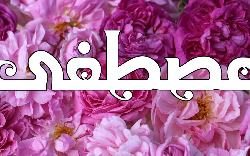اسم مصطفى بالورد4