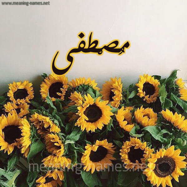 اسم مصطفى بالورد5