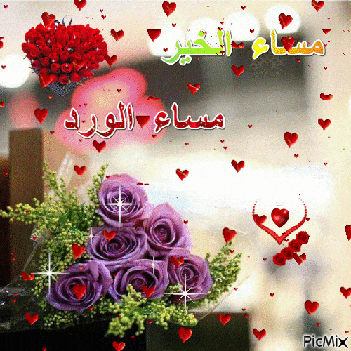 اجمل الصور مساء الخير متحركة4