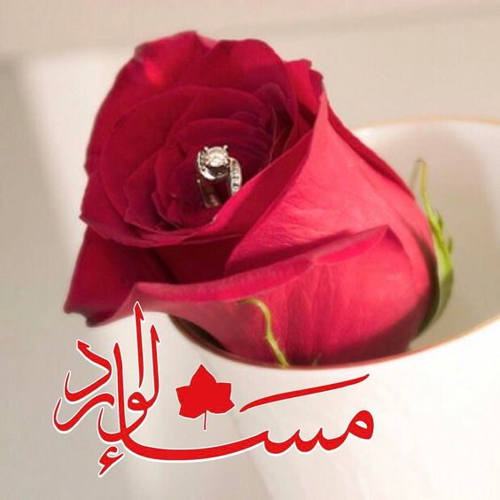 بوست مساء الورد1