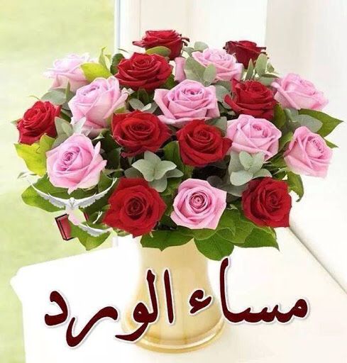 بوست مساء الورد4