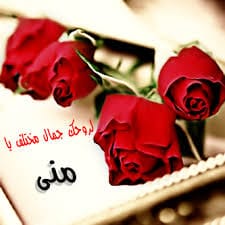 ملصقات حب باسم منى 4