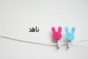 رسائل حب باسم ناهد