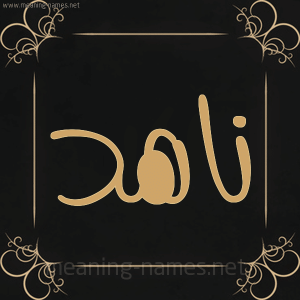 اسم ناهد مزخرف بالذهب2