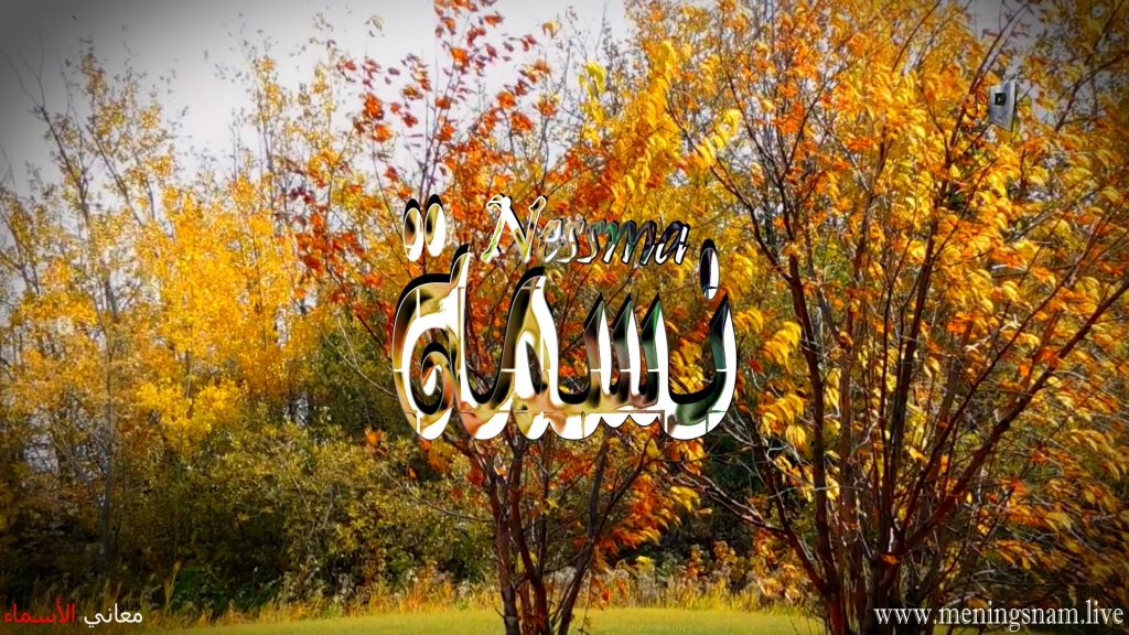 خلفيات اسم نسمة3