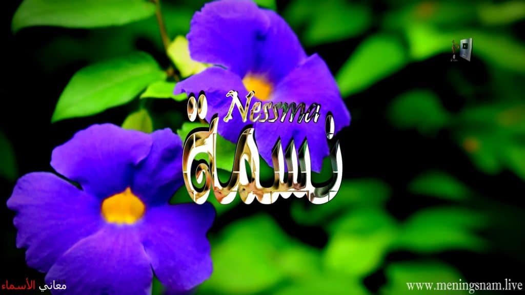 خلفيات اسم نسمة5