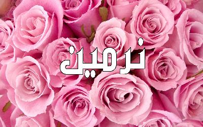 اجمل الصور علي اسم نرمين4