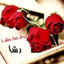 بوستات لاسم رشا2