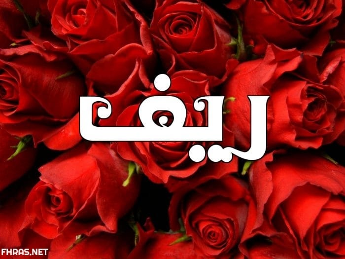 شعر عن اسم ريف
