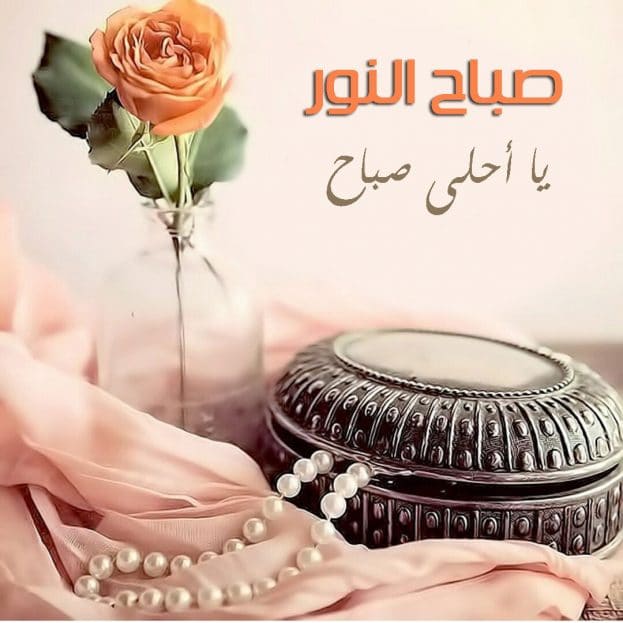 صباح الخير للحبيب بالصور1