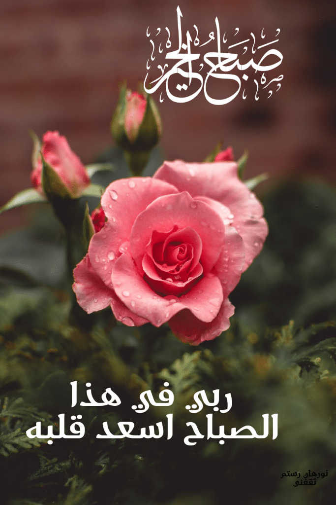 صباح الخير للاصدقاء بالصور5