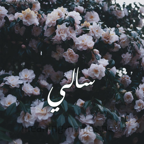رسائل حب باسم سالي4