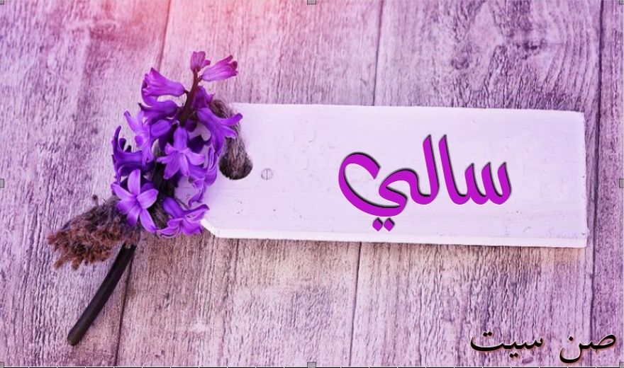 بوستات باسم سالي1