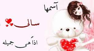 بوستات باسم سالي2
