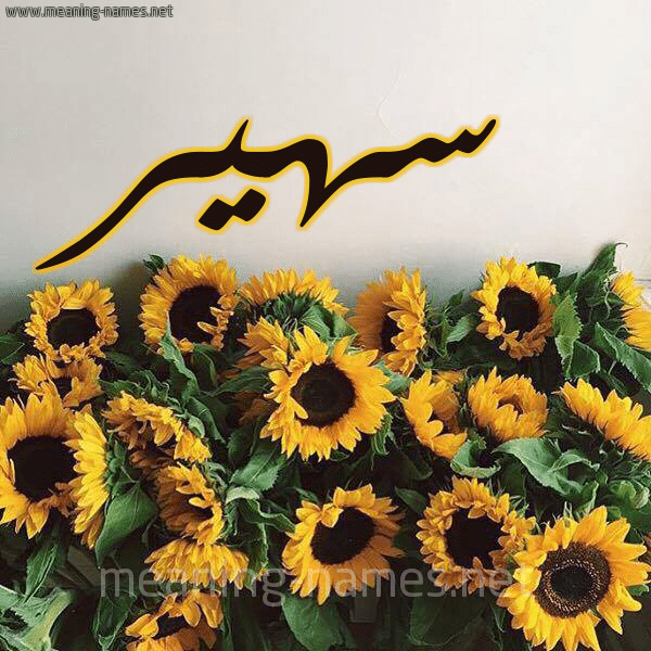 اسم سهير مكتوب بالورد4