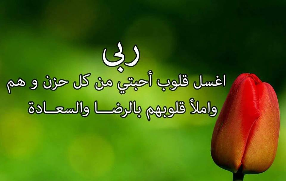 عبارات مكتوب عليها كلام جميل 1