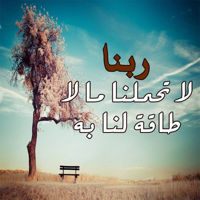 عبارات مكتوب عليها كلام جميل 2