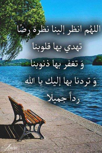 عبارات مكتوب عليها كلام جميل 3