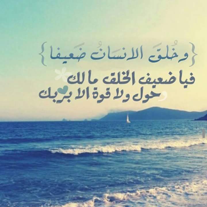 عبارات مكتوب عليها كلام جميل 4
