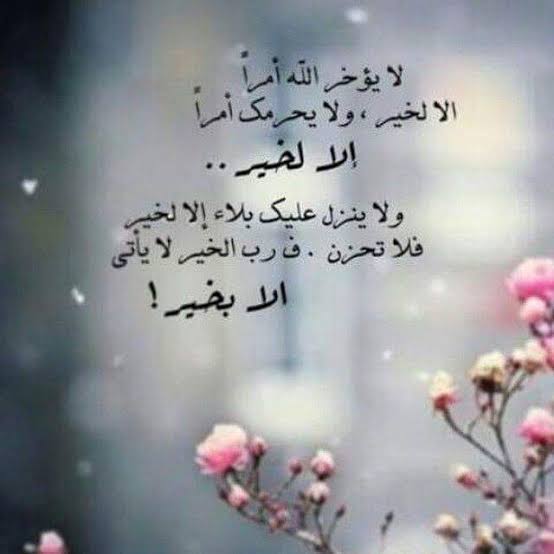 عبارات مكتوب عليها كلام جميل 5