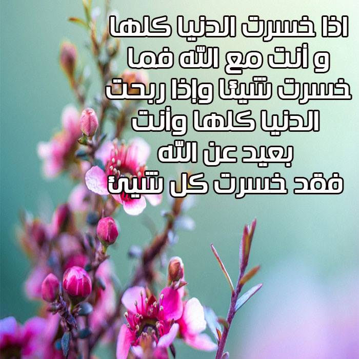 صورجميلة مكتوب عليها كلام جميل2
