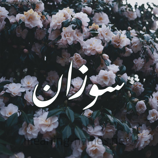 اسم سوزان بالصور 2