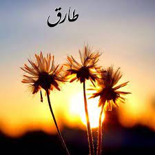 اجمل الصور عن اسم طارق4