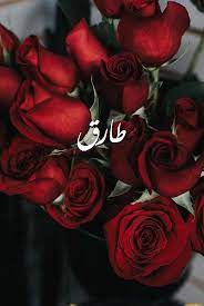 اسم طارق مكتوب بالورد2