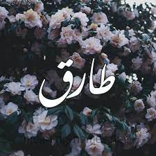 اسم طارق مكتوب بالورد3