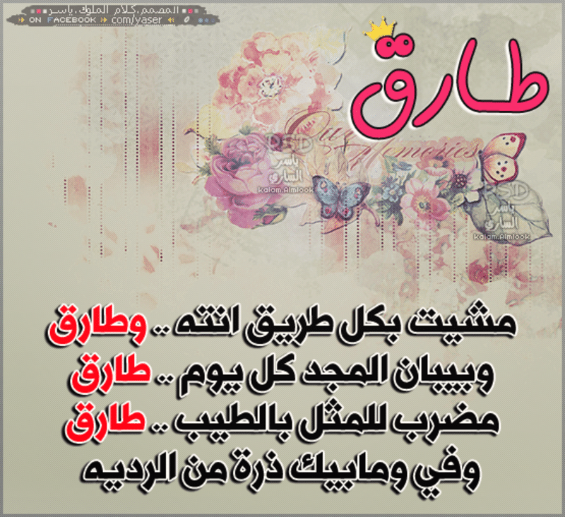 رسائل حب باسم طارق