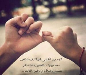 شعر وصف الصديقة