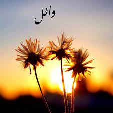 معنى اسم وائل ودلعها