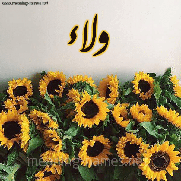 اسم ولاء بالورد2
