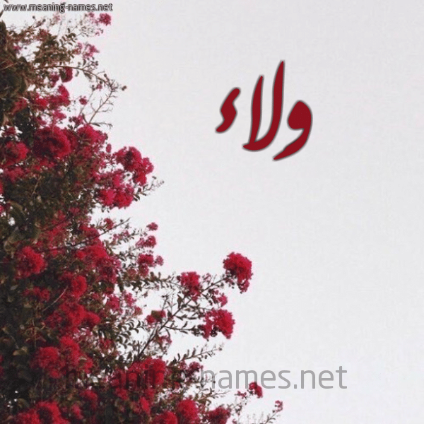 اسم ولاء بالورد4