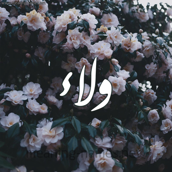 اسم ولاء بالورد5