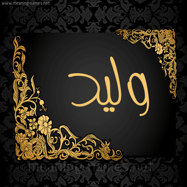 خلفيات اسم وليد2