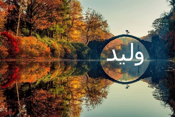 خلفيات اسم وليد5