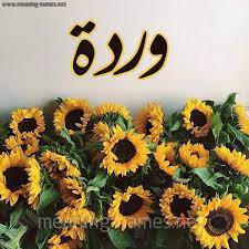 بوستات باسم وردة3